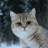 Northwind